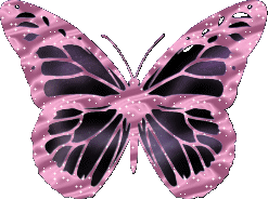 mariposas33